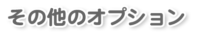 その他のオプション